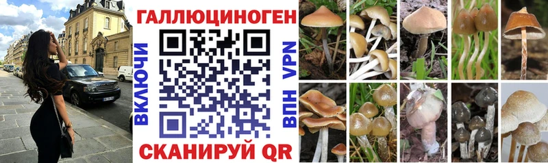 Галлюциногенные грибы Magic Shrooms  Рошаль 